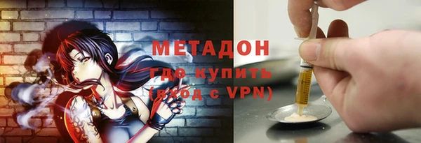 шишки Арсеньев