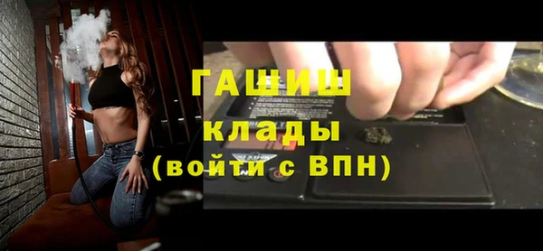 шишки Арсеньев