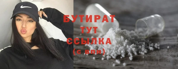 шишки Арсеньев