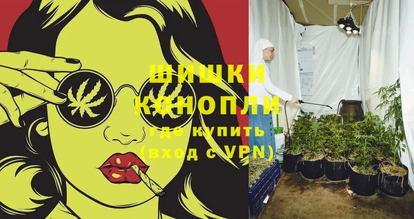шишки Арсеньев