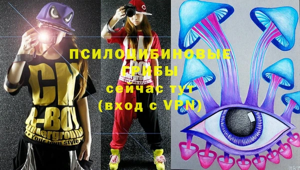 стаф Армянск