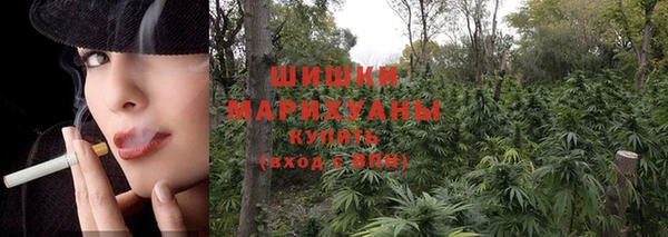 шишки Арсеньев