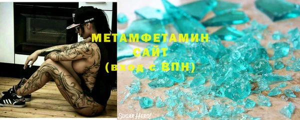 шишки Арсеньев