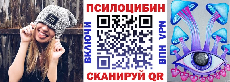 цены   Малоярославец  Псилоцибиновые грибы Psilocybe 
